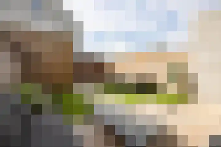 Leypad 19 Haaren thumbnail 30