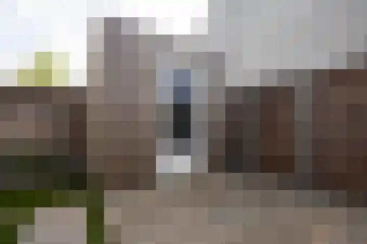 Leypad 19 Haaren thumbnail 32