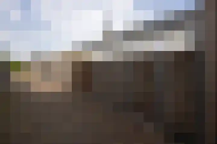 Leypad 19 Haaren thumbnail 33