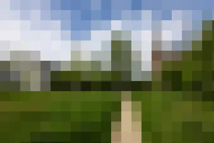 Leypad 19 Haaren thumbnail 35