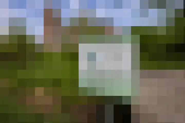 Leypad 19 Haaren thumbnail 36