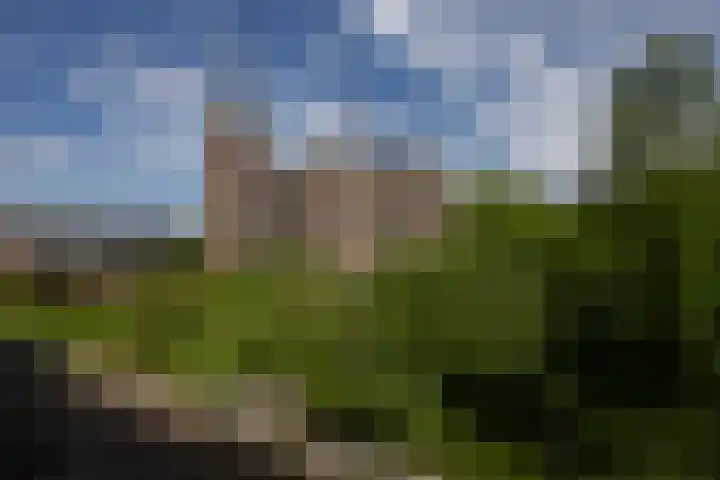 Leypad 19 Haaren thumbnail 37