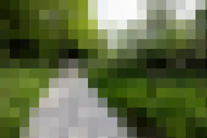 Leypad 19 Haaren thumbnail 38