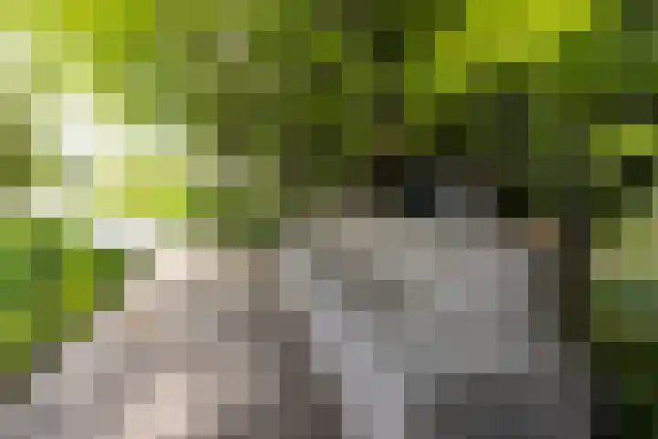 Leypad 19 Haaren thumbnail 39