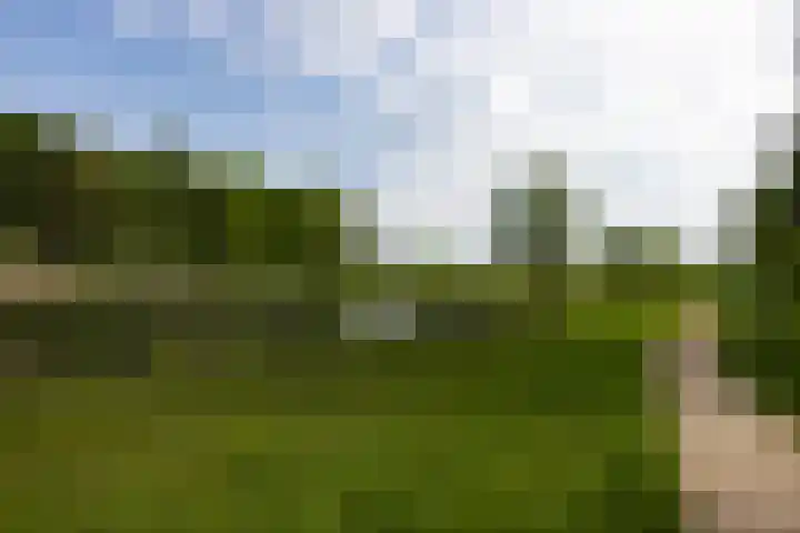 Leypad 19 Haaren thumbnail 40