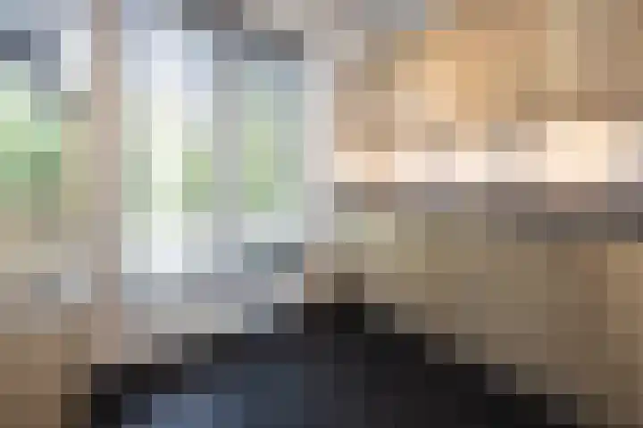 Leypad 19 Haaren thumbnail 8