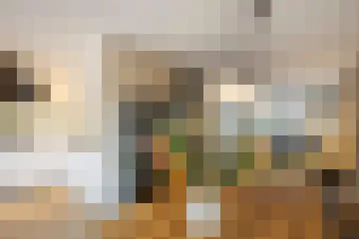 Leyplantsoen 5 Helmond thumbnail 11