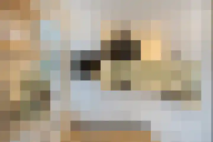 Leyplantsoen 5 Helmond thumbnail 12