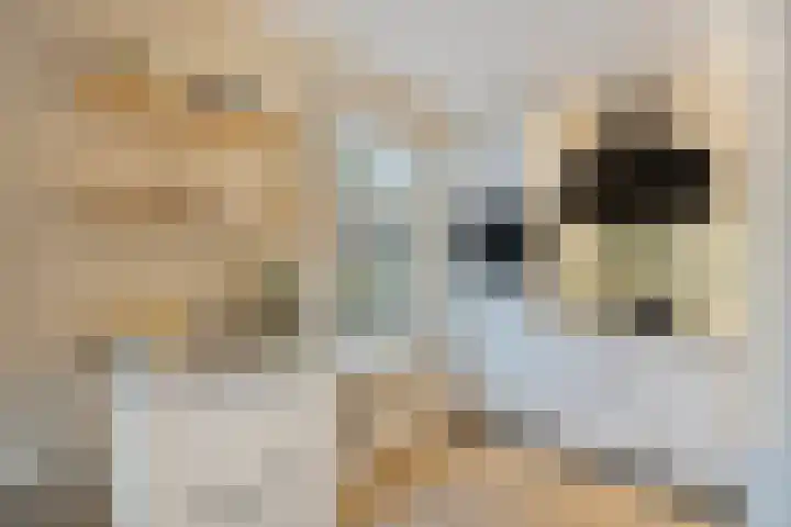 Leyplantsoen 5 Helmond thumbnail 13