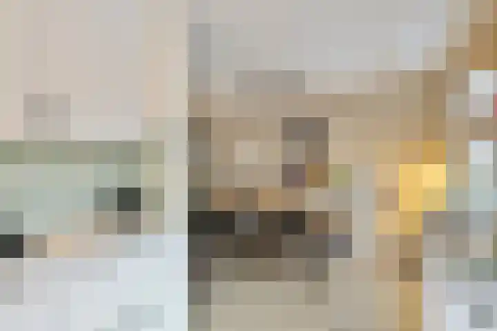 Leyplantsoen 5 Helmond thumbnail 16