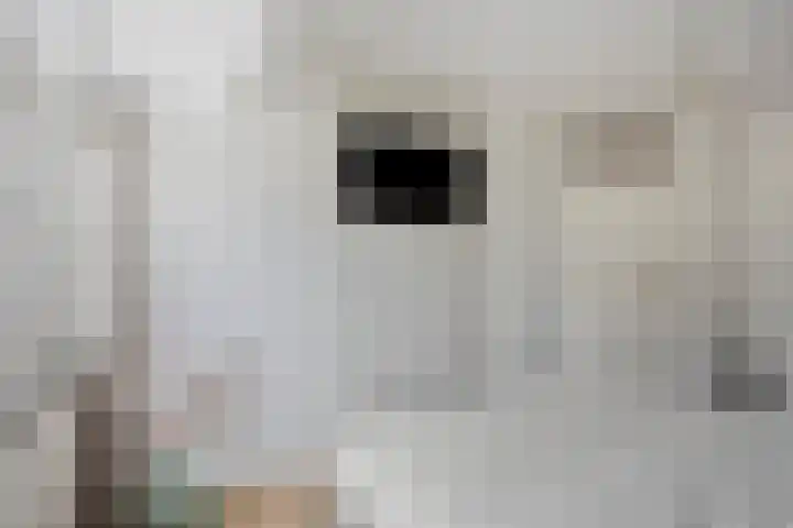Leyplantsoen 5 Helmond thumbnail 20