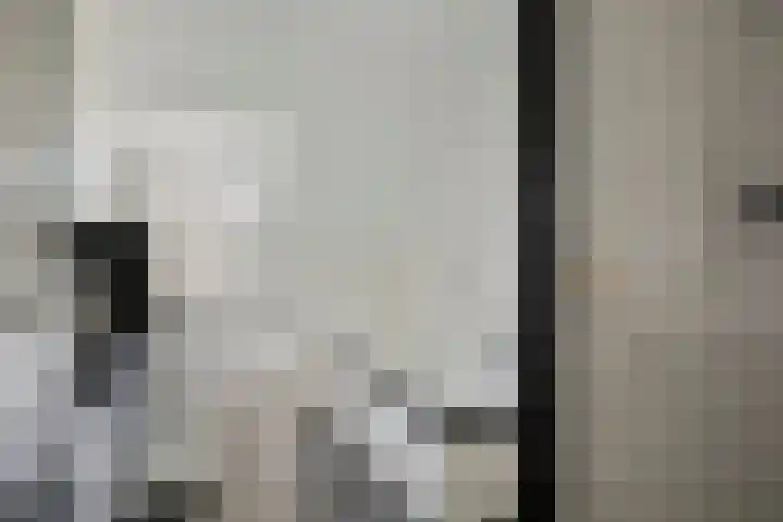 Leyplantsoen 5 Helmond thumbnail 22