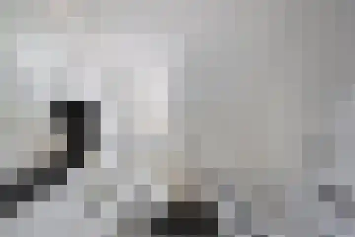 Leyplantsoen 5 Helmond thumbnail 23