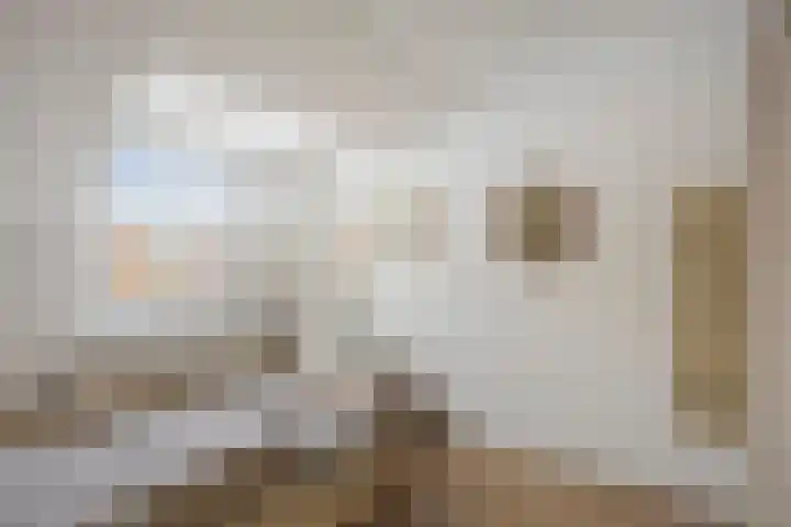 Leyplantsoen 5 Helmond thumbnail 28