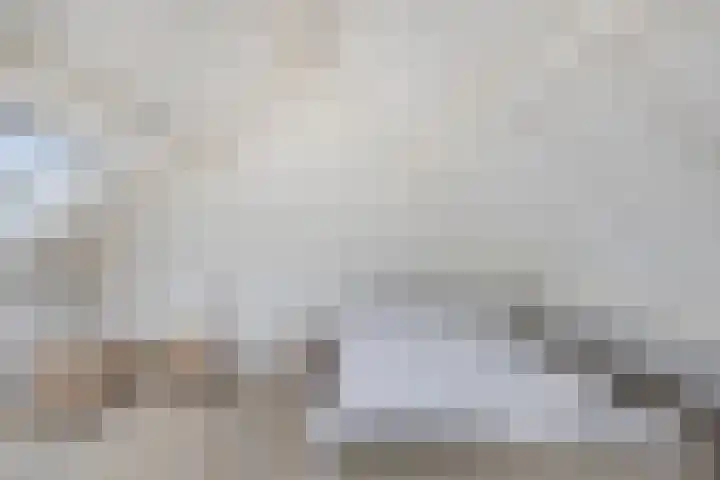 Leyplantsoen 5 Helmond thumbnail 31