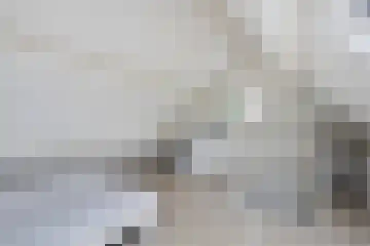Leyplantsoen 5 Helmond thumbnail 32