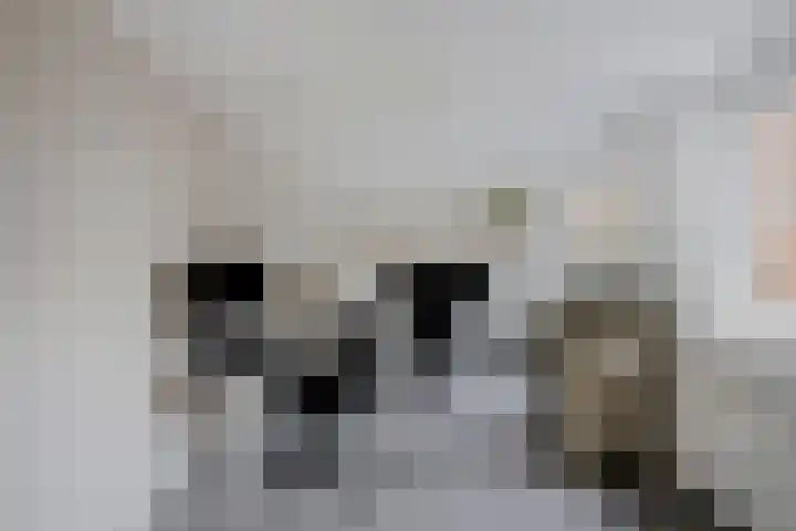 Leyplantsoen 5 Helmond thumbnail 33