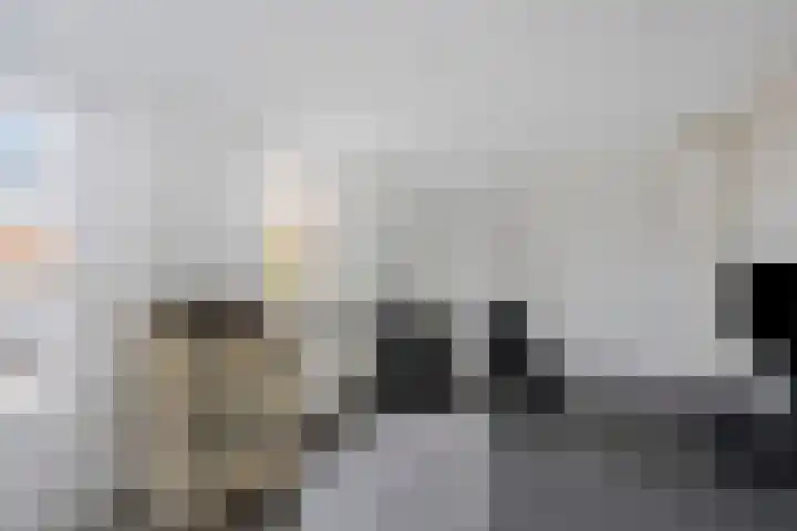 Leyplantsoen 5 Helmond thumbnail 34
