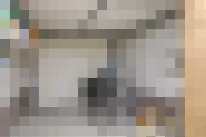 Leyplantsoen 5 Helmond thumbnail 35