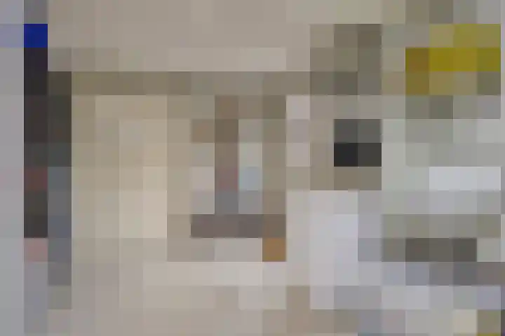 Leyplantsoen 5 Helmond thumbnail 36
