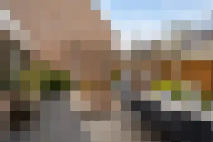 Leyplantsoen 5 Helmond thumbnail 37