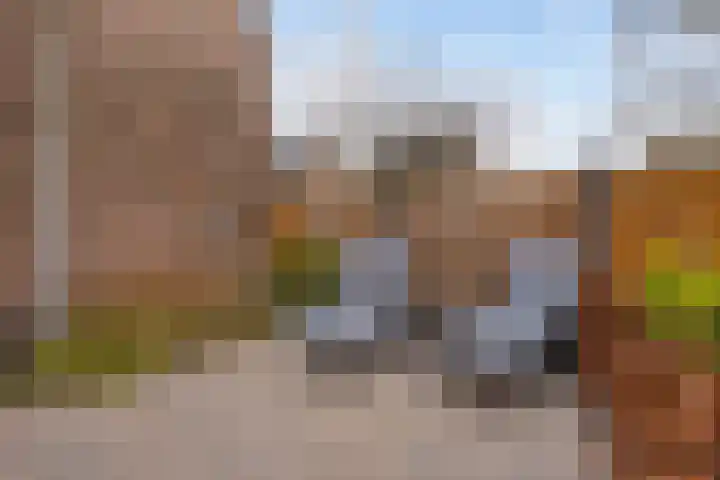 Leyplantsoen 5 Helmond thumbnail 38