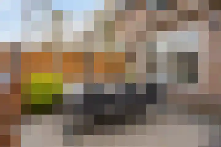 Leyplantsoen 5 Helmond thumbnail 39