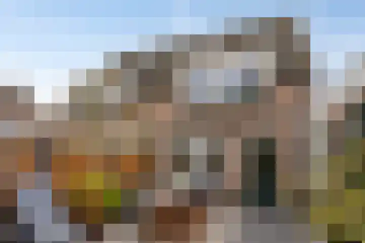 Leyplantsoen 5 Helmond thumbnail 41