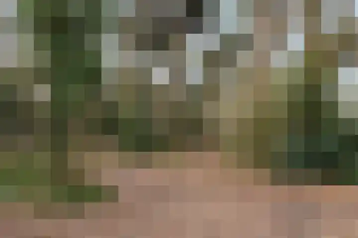 Leyplantsoen 5 Helmond thumbnail 42