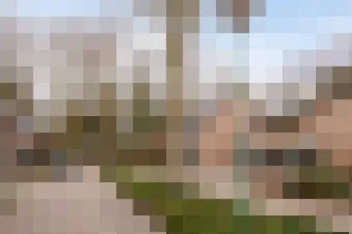 Leyplantsoen 5 Helmond thumbnail 44