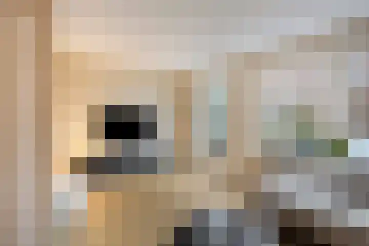 Leyplantsoen 5 Helmond thumbnail 7