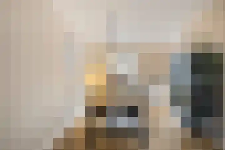 Leyplantsoen 5 Helmond thumbnail 8