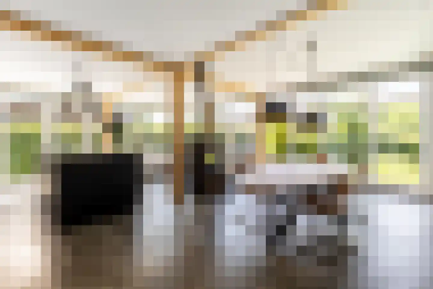 Leyseput 10 Rockanje thumbnail 10