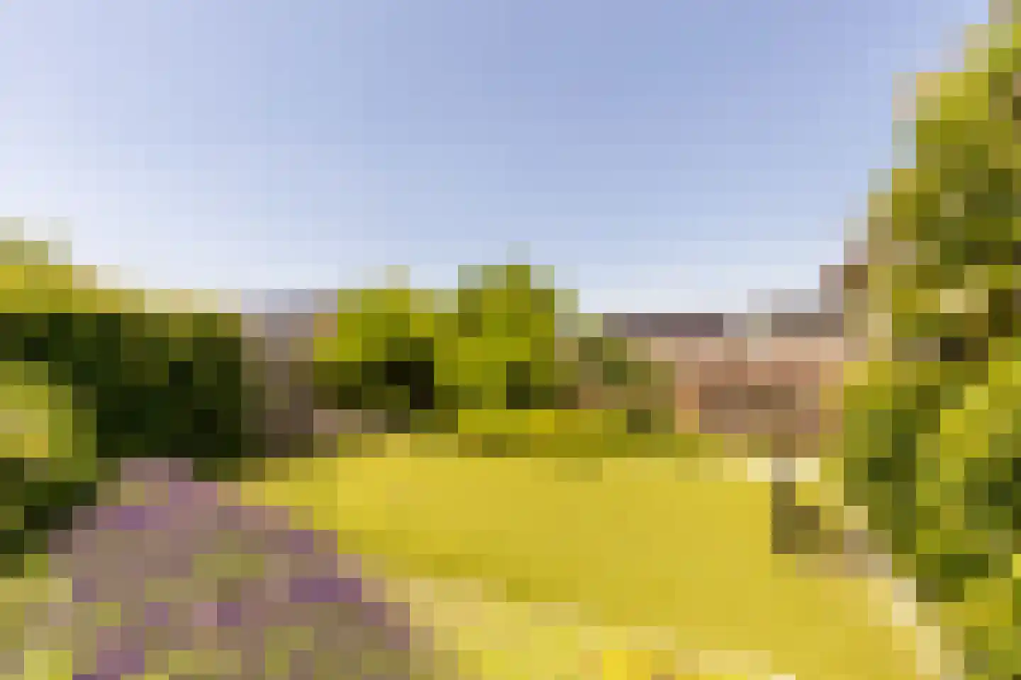 Leyseput 10 Rockanje thumbnail 37