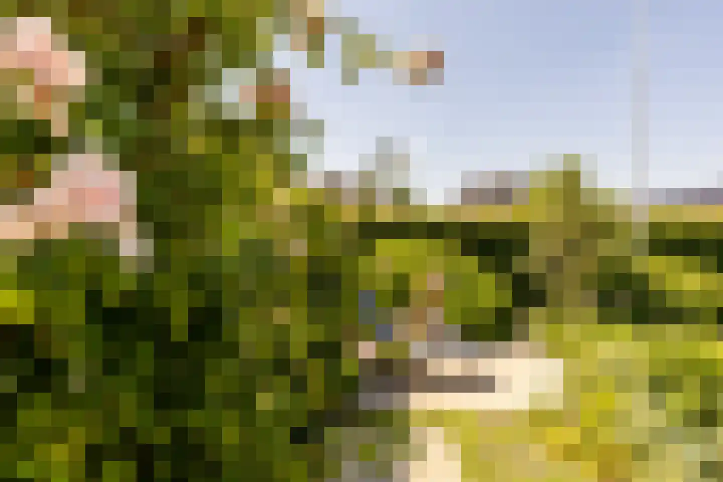 Leyseput 10 Rockanje thumbnail 42
