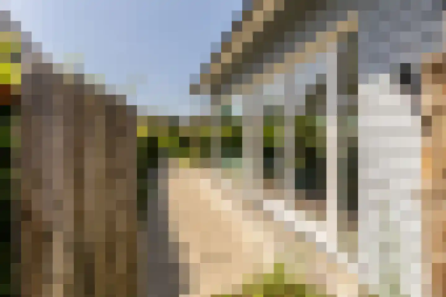 Leyseput 10 Rockanje thumbnail 44
