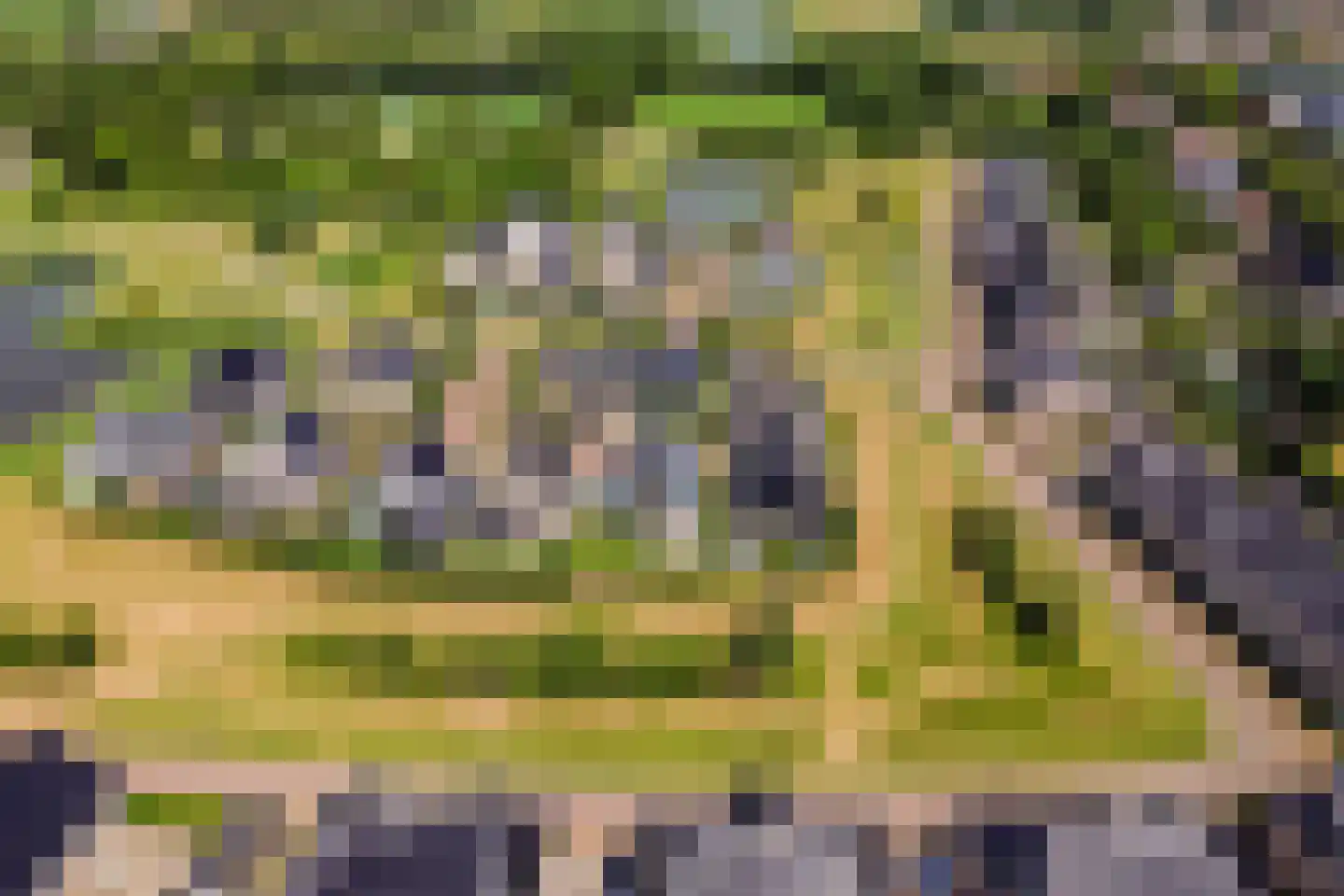 Leyseput 10 Rockanje thumbnail 47