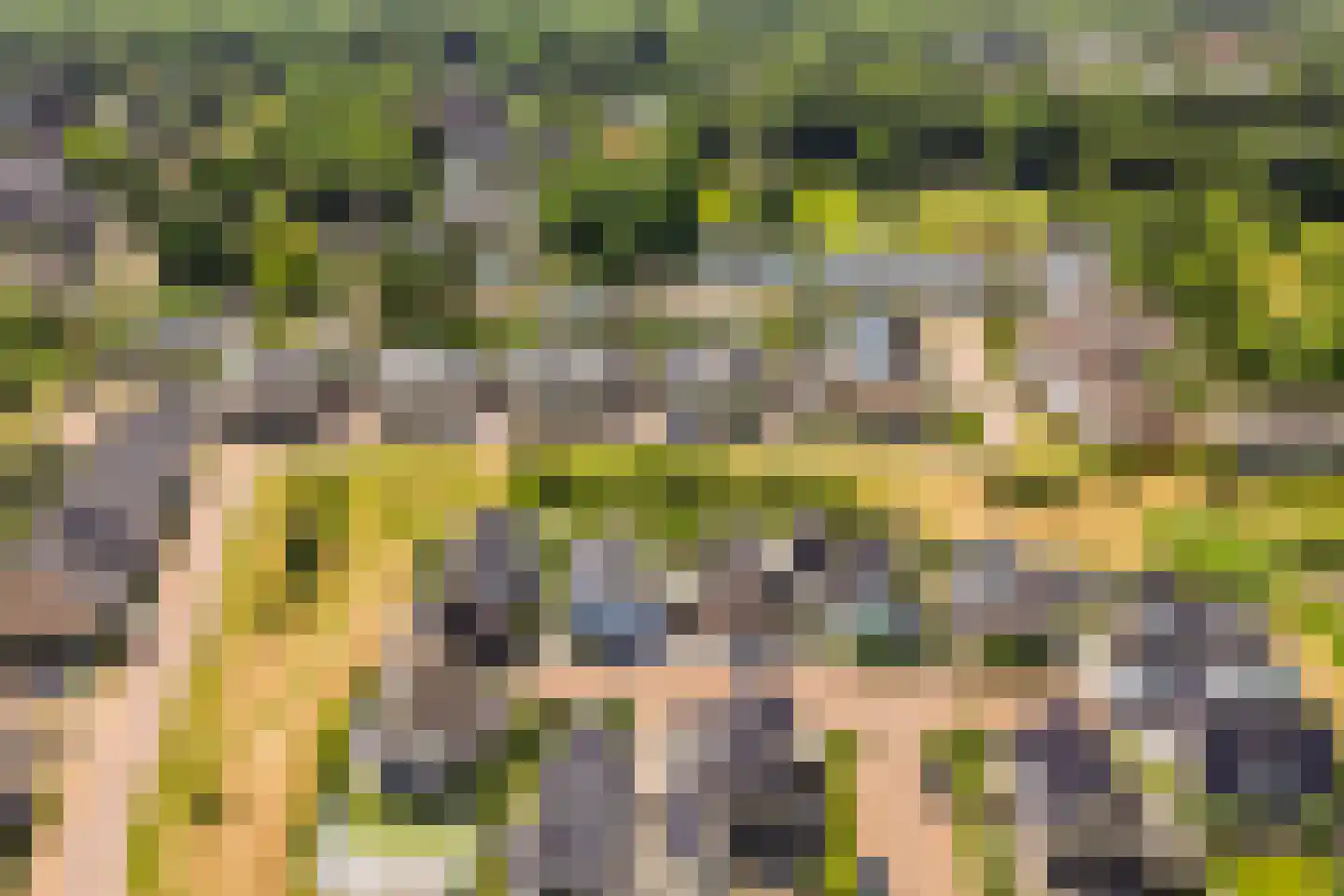 Leyseput 10 Rockanje thumbnail 48