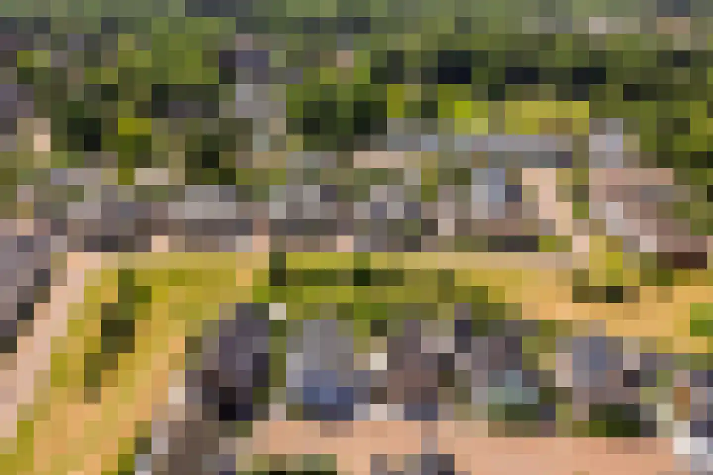 Leyseput 10 Rockanje thumbnail 50