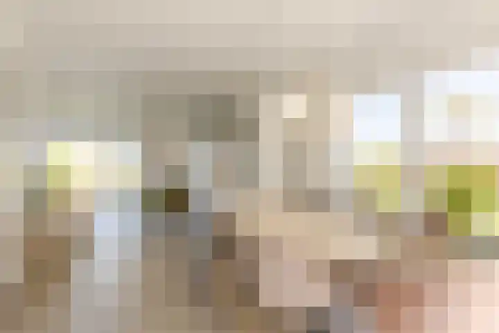 Leyseput 20 Rockanje thumbnail 13