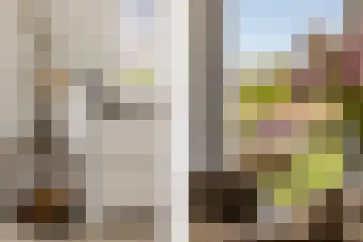Leyseput 20 Rockanje thumbnail 15