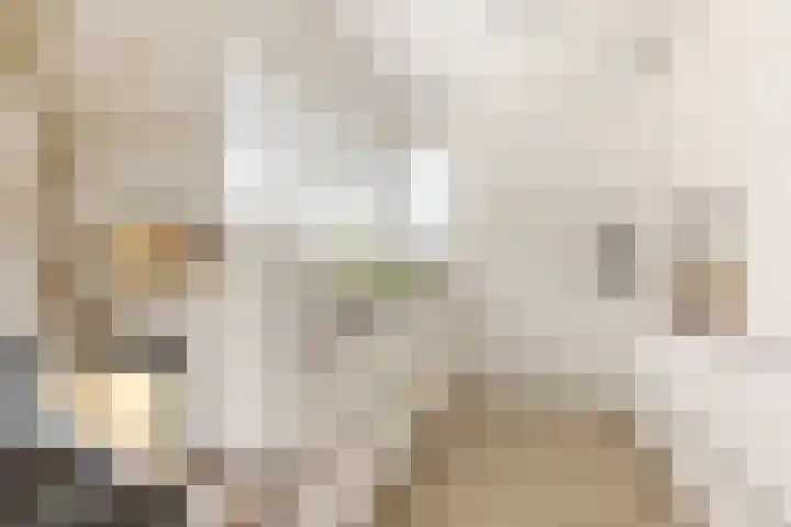 Leyseput 20 Rockanje thumbnail 16