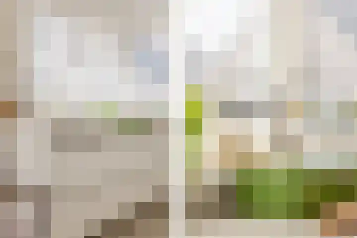 Leyseput 20 Rockanje thumbnail 17