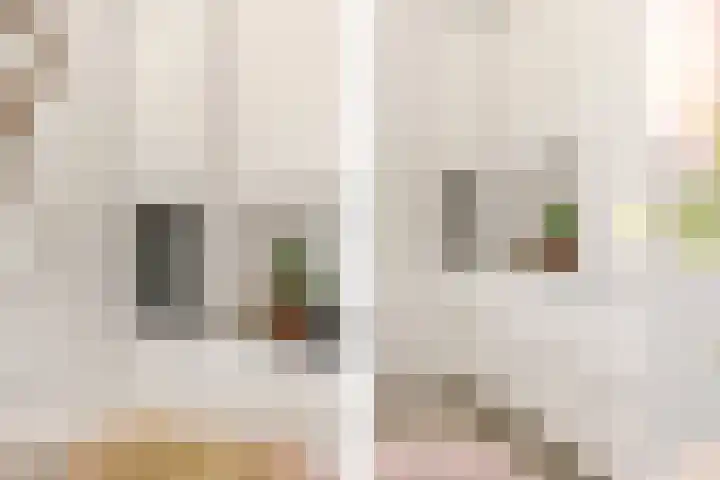 Leyseput 20 Rockanje thumbnail 18