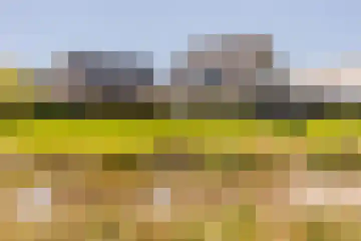 Leyseput 20 Rockanje thumbnail 32