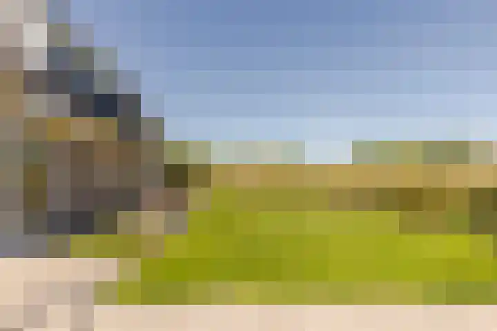 Leyseput 20 Rockanje thumbnail 33