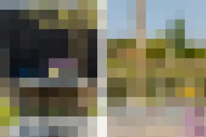 Leyseput 20 Rockanje thumbnail 34