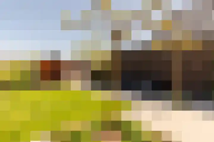 Leyseput 20 Rockanje thumbnail 35