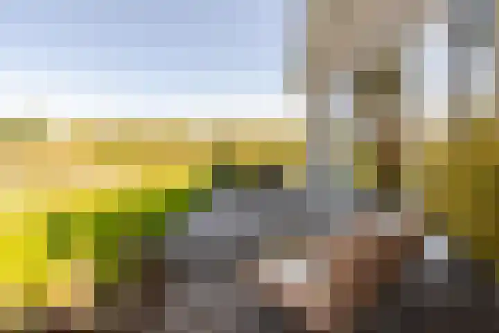 Leyseput 20 Rockanje thumbnail 37