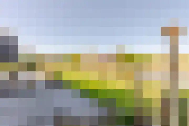 Leyseput 20 Rockanje thumbnail 38